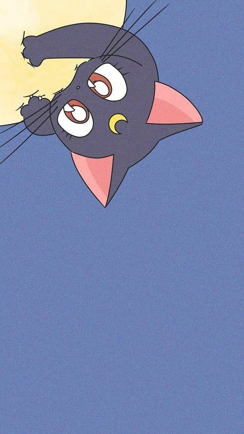 Moon, black cat, sailor moon, usagi, HD phone wallpaper | Peakpx