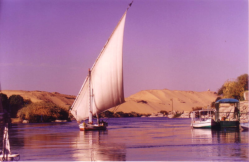 Purple Nile, aswan, felucca, boats, river, nile, sailboats, egypt, HD wallpaper