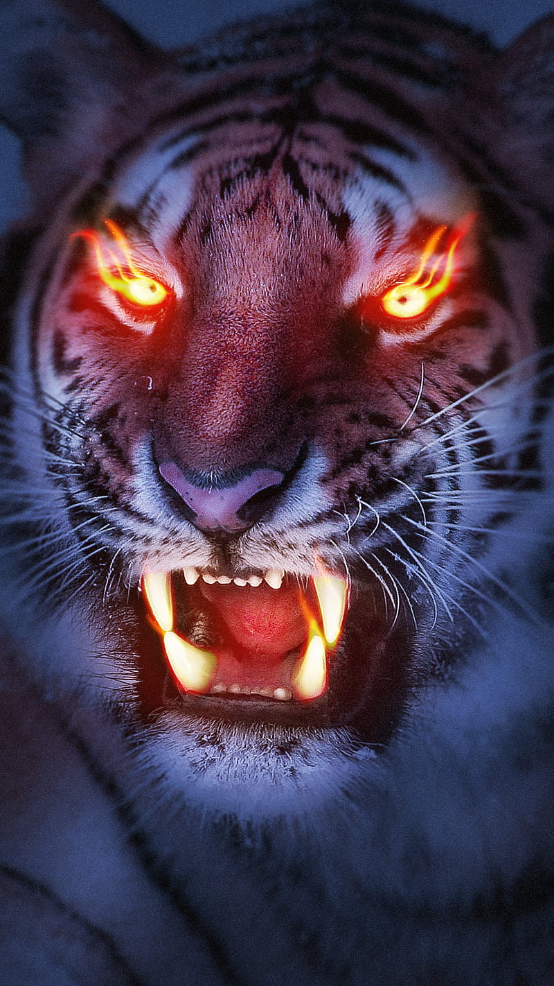 El tigre 3, animales, oscuridad, ojos, llama, luz, Fondo de pantalla de  teléfono HD | Peakpx