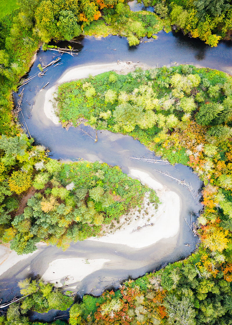 aerial graphy of river surrounded by trees, HD phone wallpaper