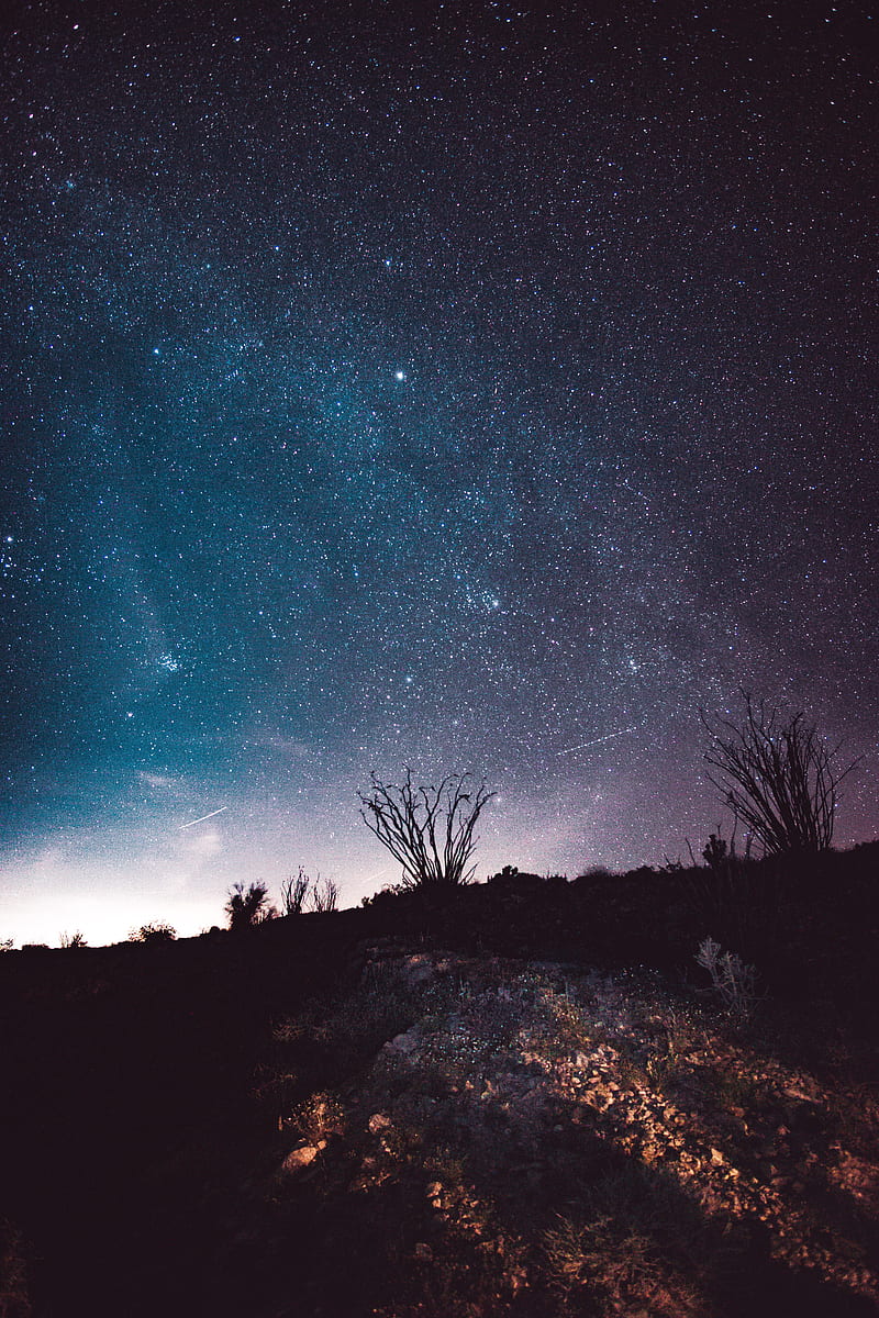 night, starry sky, stars, trees, space, HD phone wallpaper