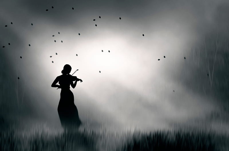 violin, splendor, music, black and white, nature, sky, lady, woman, HD wallpaper