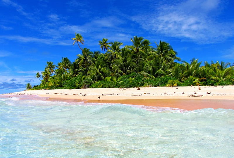 Funafuti Atoll, Tuvalu, beach, sand, island, trees, Conservation Area, sea, paradisiac, palms, HD wallpaper