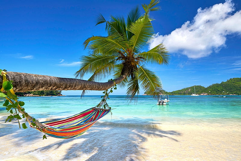 Hammock on Seychelles Beach, sky, sea, coconut, palms, clouds, HD wallpaper