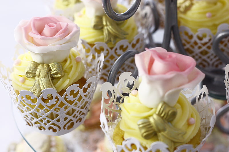 group of pink-and-white roses party favors, HD wallpaper
