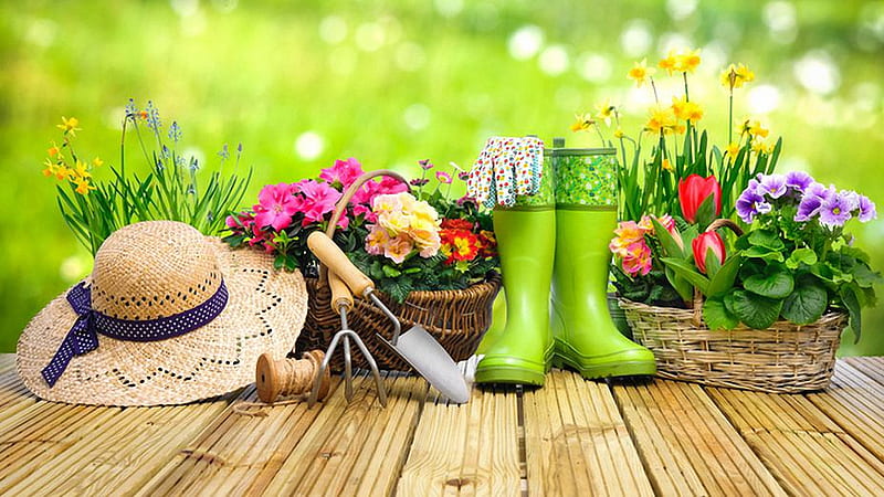 Summer Gardening, flowers, terrace, shoes, hat, colors, HD wallpaper