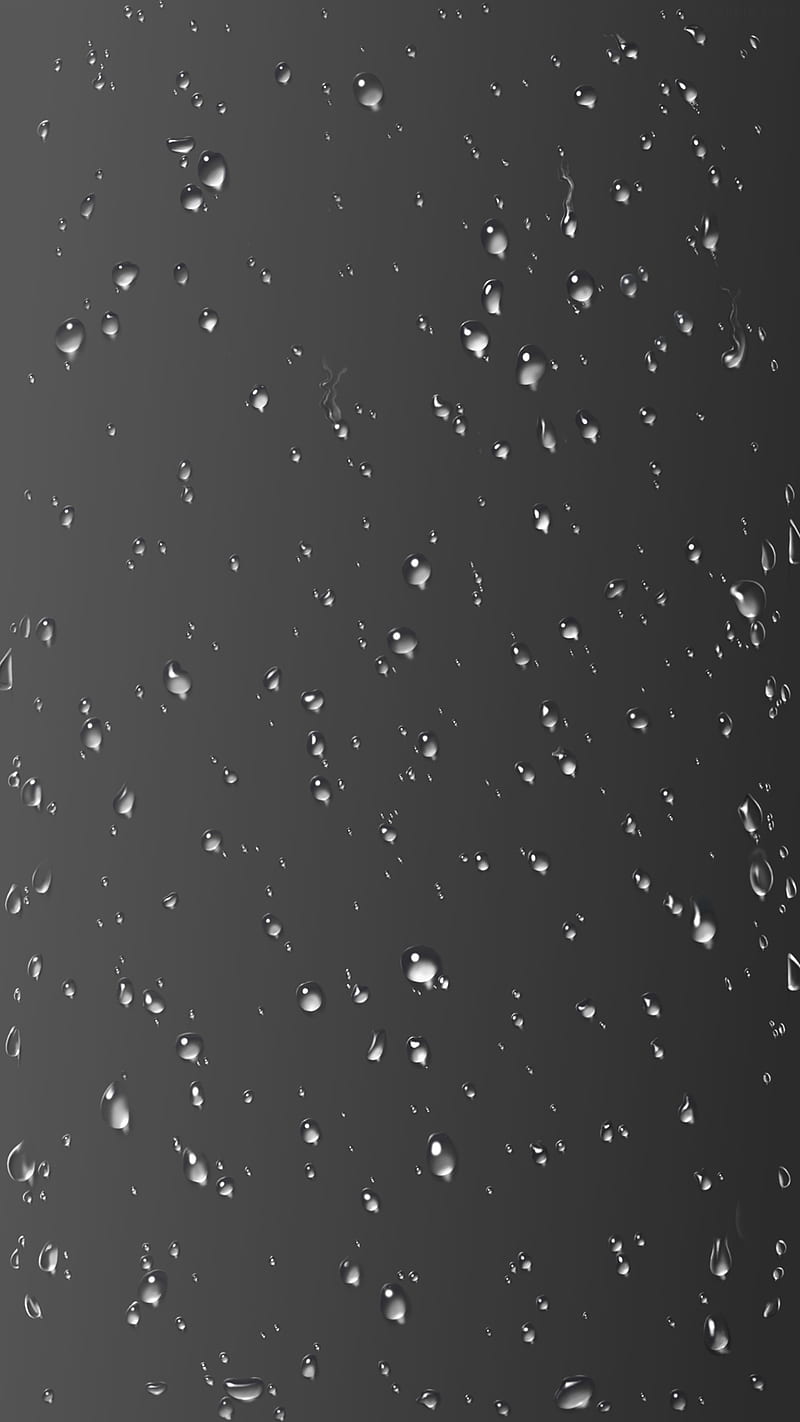 Rain drops, HD phone wallpaper