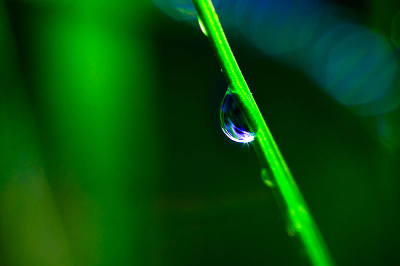 drop, grass, macro, green, blur, HD wallpaper