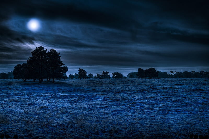 Cold night, sky, clouds, winter, cold, moon, nature, frozen, field, blue, night, HD wallpaper