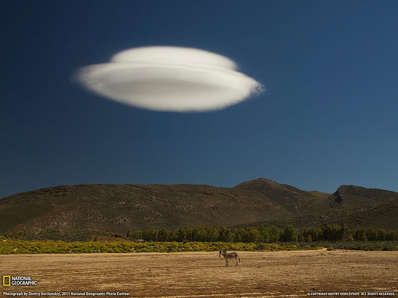 Zebra and Cloud South Africa-National Geographic magazine, HD wallpaper