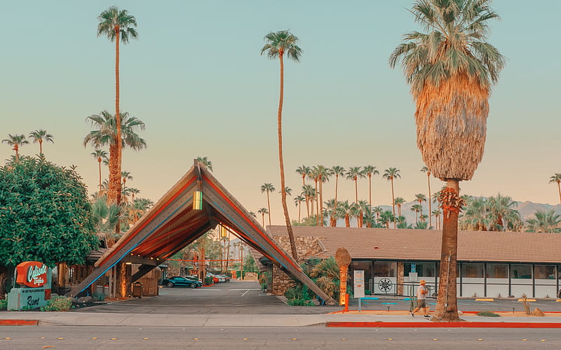 hotel, palm trees, California, evening, sunset, beautiful palm trees, HD wallpaper