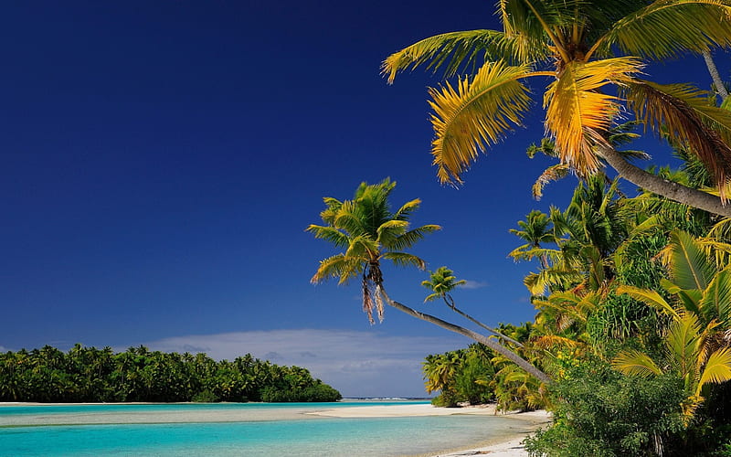 Cook Islands, Islands, Tropics, Laguna, Palm trees, beach, Oceania, HD ...