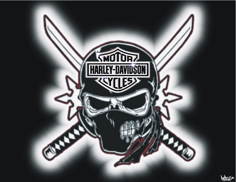 Harley-Davidson skull, logo, harley davidson, skull, motorcycle, ninja ...