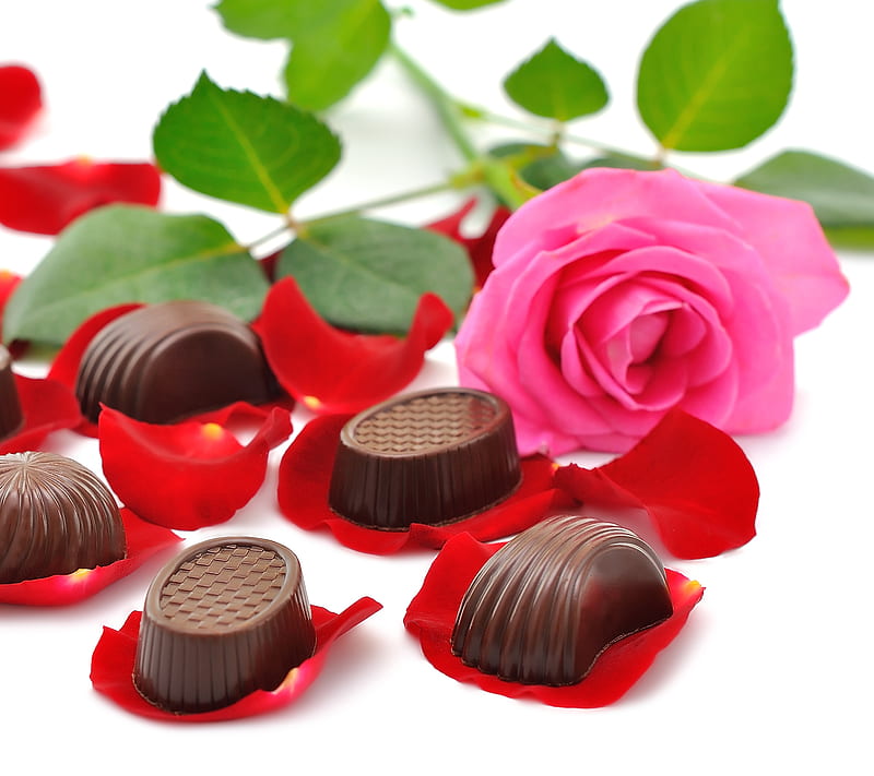 Candy on Rose Petals, bonito, bouquet, chocolate, flowers, HD wallpaper