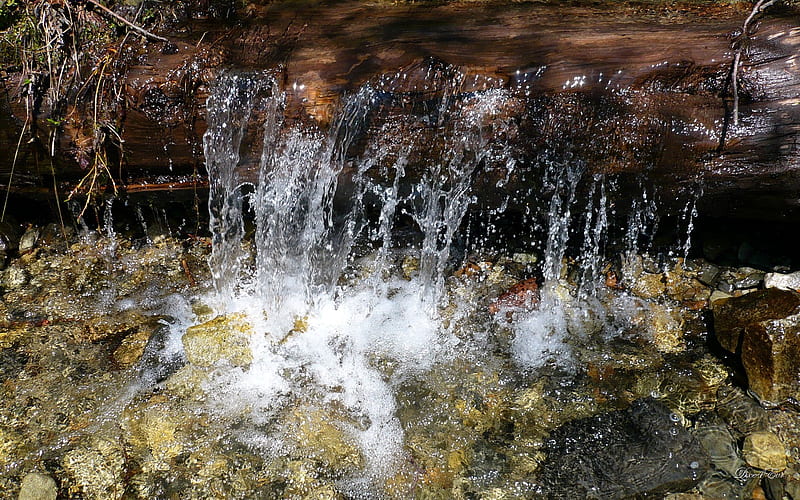 clear-running-water-mountain-water-washington-stream-log-hd