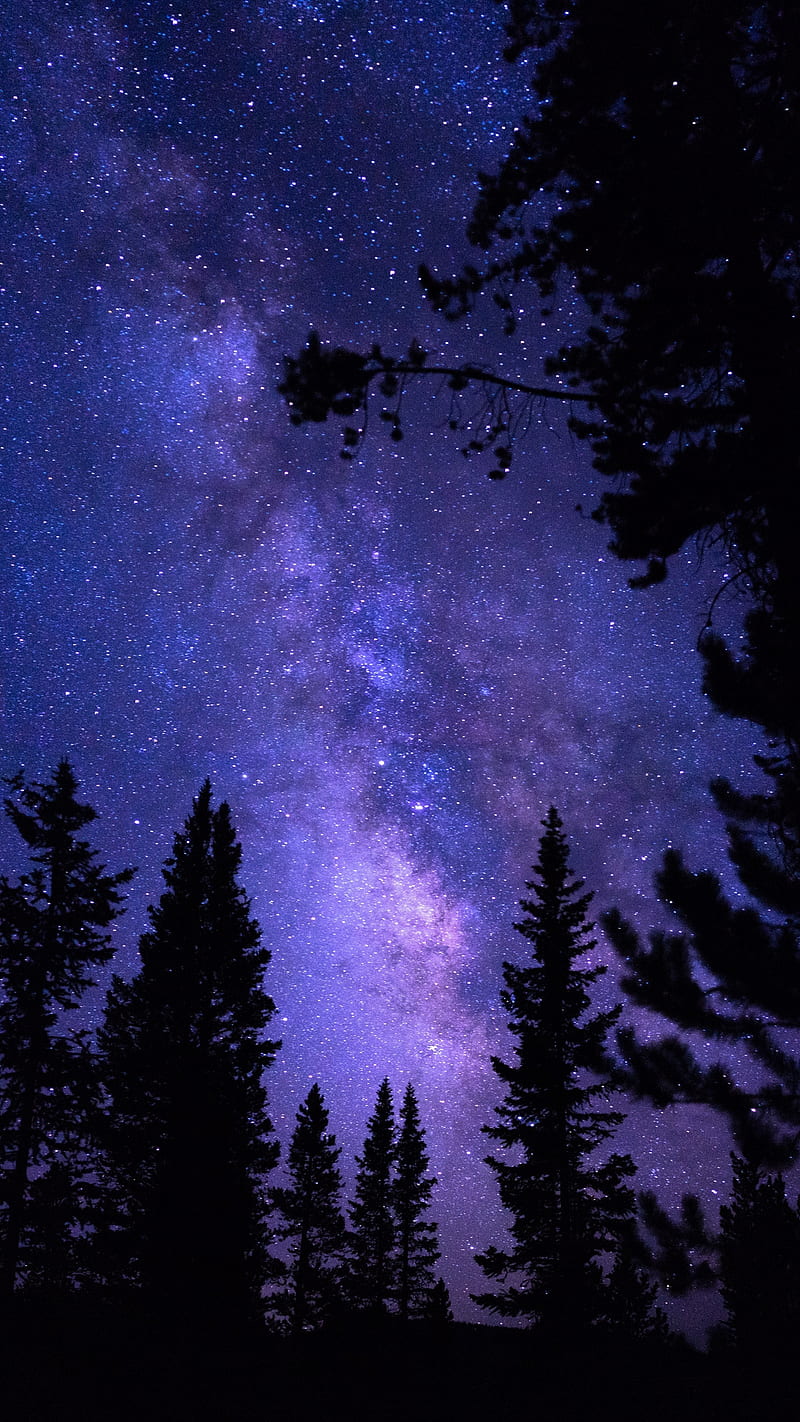 In the dark of night, aurora, galaxy, night, purple, sky, stars, universe, HD phone wallpaper