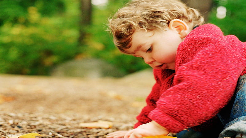 Cute Baby Boy Is Playing In Garden Wearing Red Blue Dess Cute, HD wallpaper