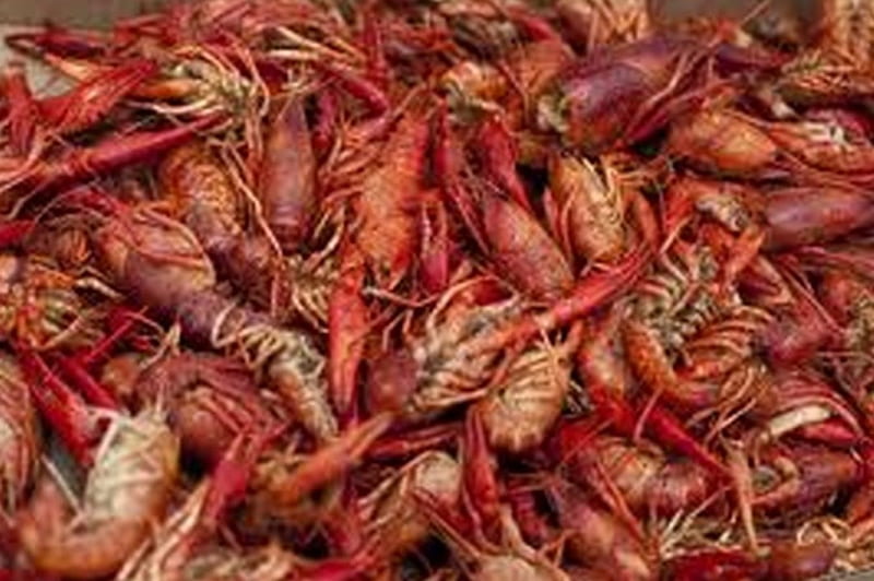 HD wallpaper crawfish crayfish boil seafood table food and drink  healthy eating  Wallpaper Flare