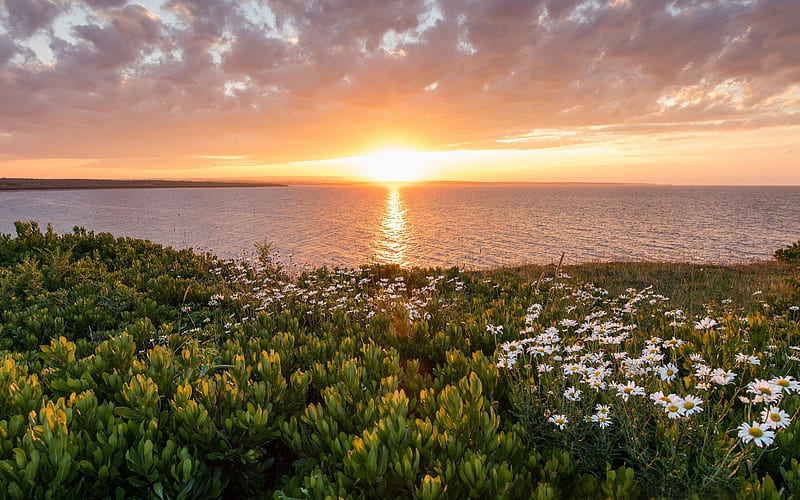 Cape Breton Island, Sunset, ocean, North Atlantic Ocean, Nova Scotia, Canada, HD wallpaper