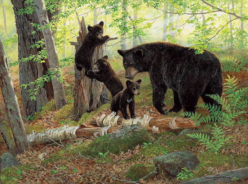 Play time by Persis Clayton Weirs, pictura, art, forest, family, persis clayton weirs, bear, animal, cute, urs, green, painting, cub, HD wallpaper