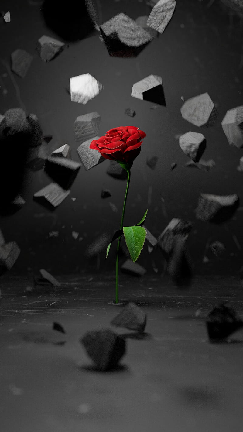 3D Rose , red, flower, fragments, stones, HD phone wallpaper