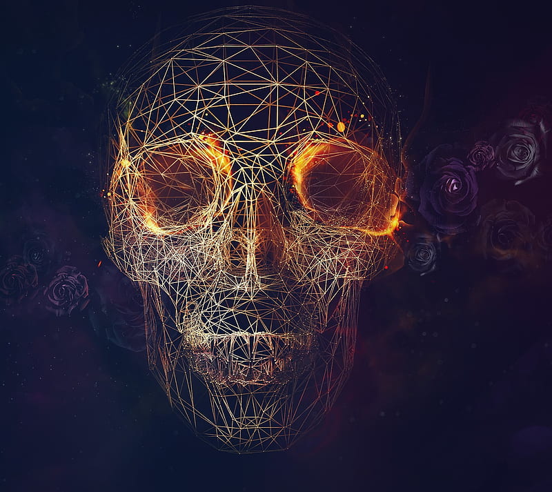 Tin Skull, skull, tin, HD wallpaper