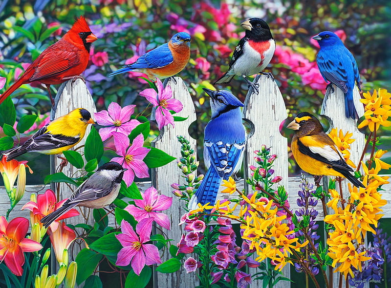 Gathering of friends, joy, colorful, art, fence, birds, spring, fun, bonito, cardinals, gathering, blossoms, garden, flowers, HD wallpaper