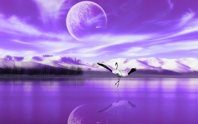 Crystal Lake, fantasy, bird, purpple, crystal, lake, HD wallpaper