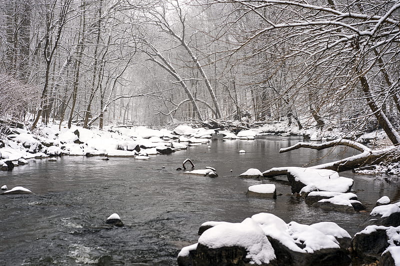 river, forest, snow, stones, water, winter, HD wallpaper