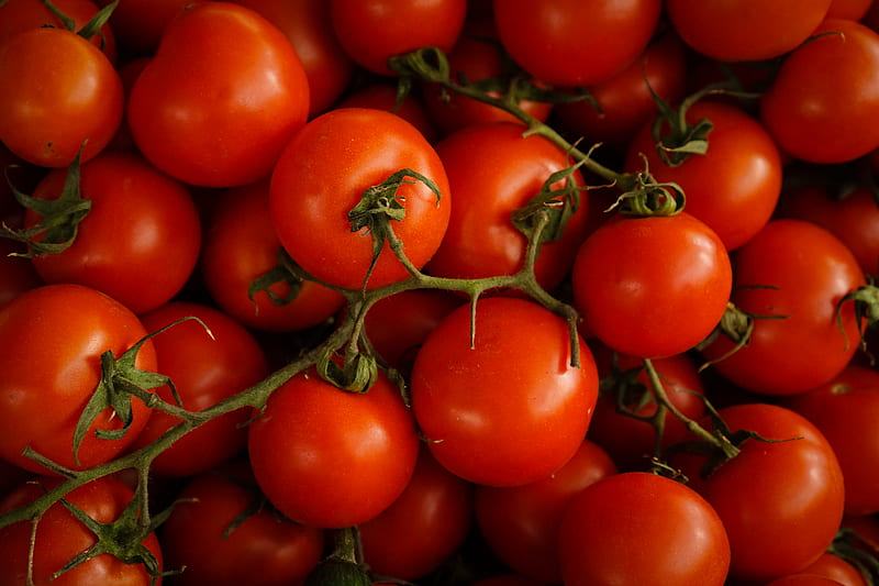 red cherry tomatoes, HD wallpaper
