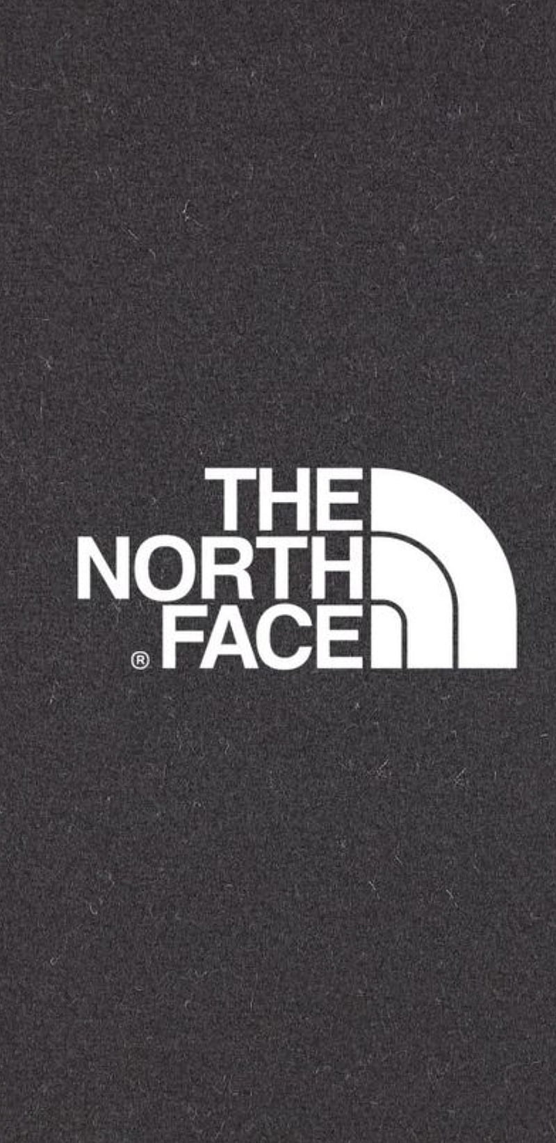 The north face, designer, designs, HD phone wallpaper | Peakpx