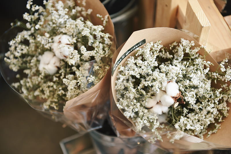 two baby's breath flowers and cotton bolls bouquets, HD wallpaper