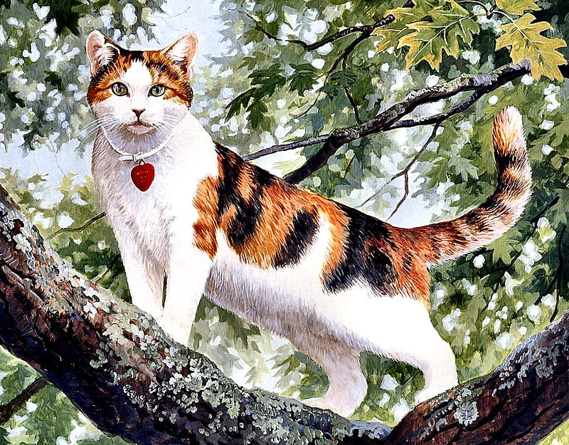 Calico Cat in a Tree F, art, bonito, pets, artwork, animal, tree, feline, calico, painting, wide screen, cats, HD wallpaper