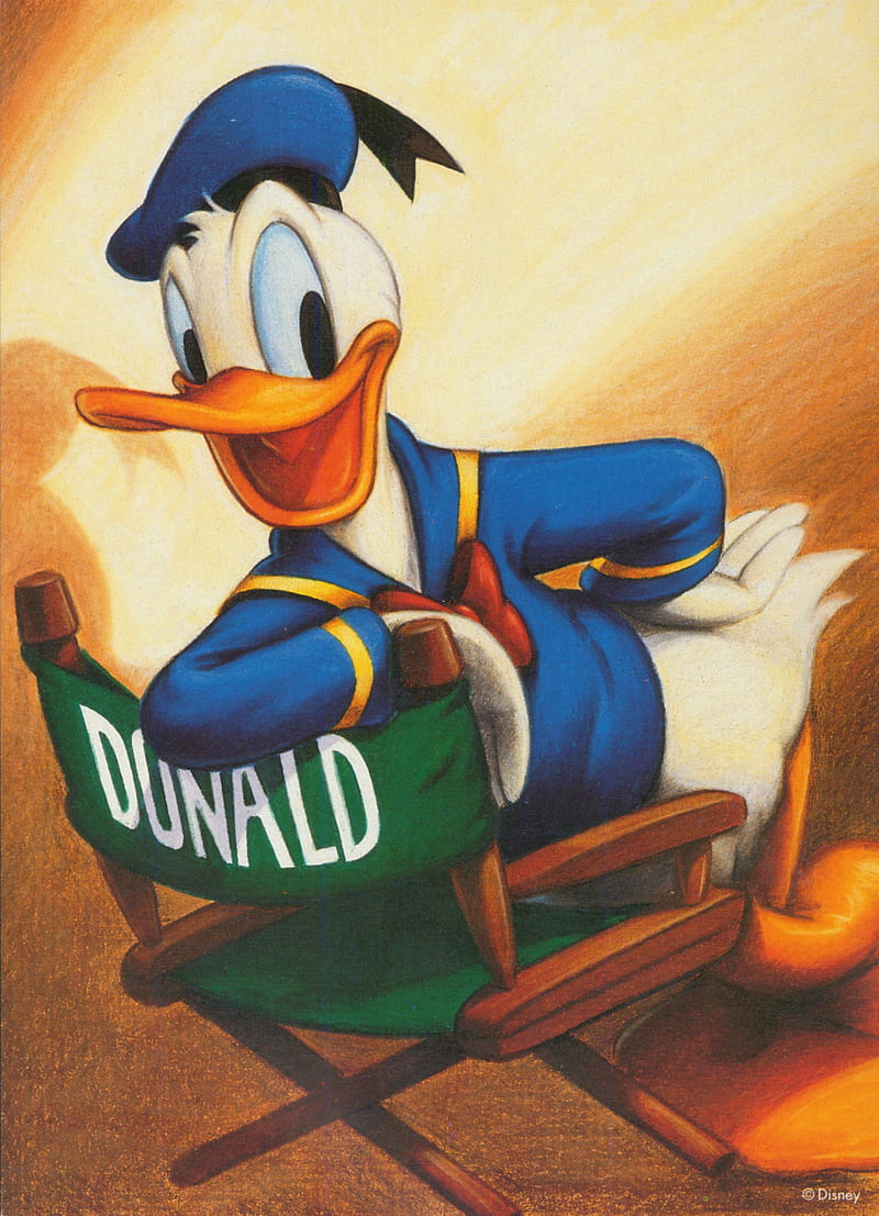 Donald Duck, character, disney, HD phone wallpaper | Peakpx