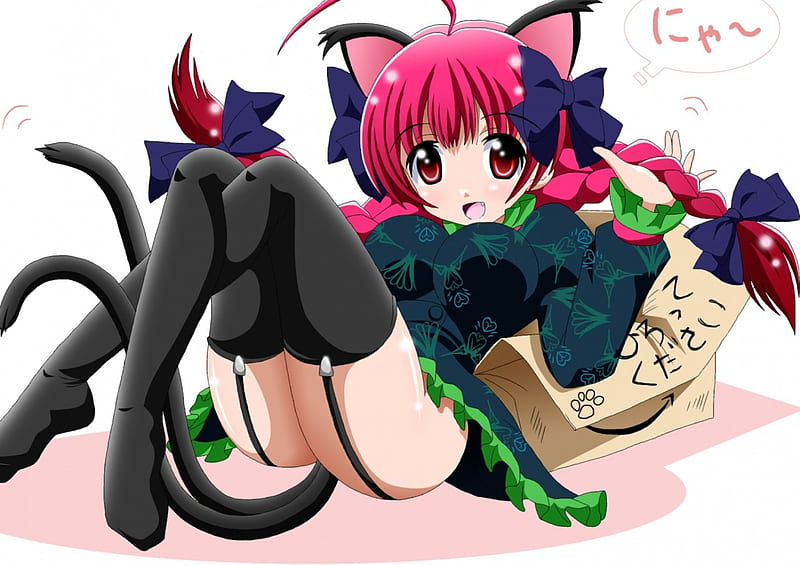 Neko, kawaii, girl, anime, HD wallpaper Neko, kawaii, girl, anime, HD wallpaper