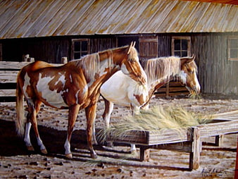 HD Appalosa  S Peakpx   HD   Appaloosa Paint Horses House Paint Appalosa Animals Horses Thumbnail 