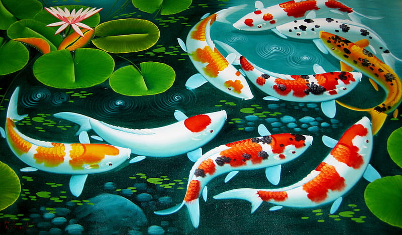 Koi, art, vara, water, pesti, green, fish, orange, summer, HD wallpaper