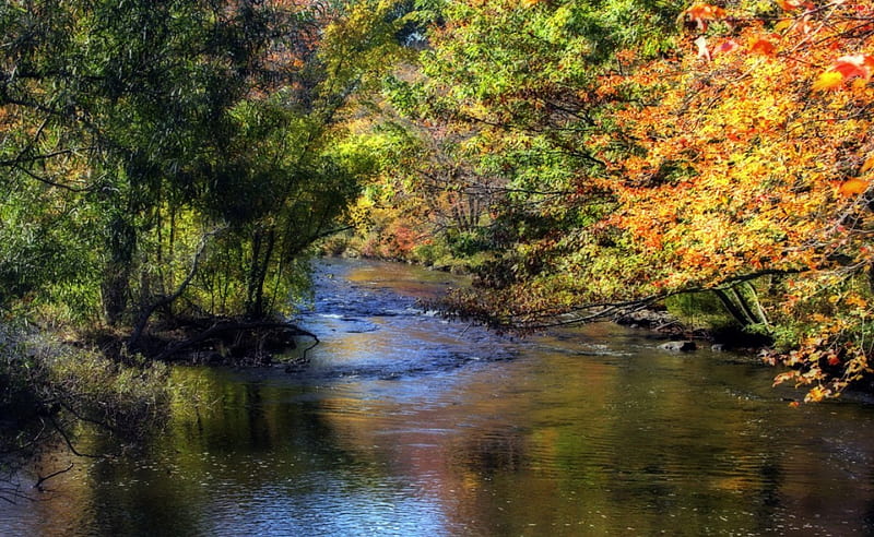 The rolling river, nature, rivers, HD wallpaper | Peakpx