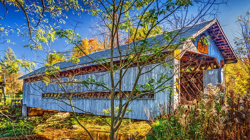 Covered Bridge at Doyle Road, Ohio, autumn, leaves, river, trees, sky, HD wallpaper