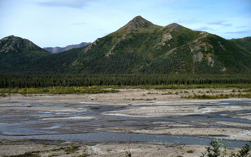 River Basin in Denali, USA, Alaska, National Park, Denali, wild life, graphy, mountains, wide screen, nature, river, scenery, landscape, HD wallpaper