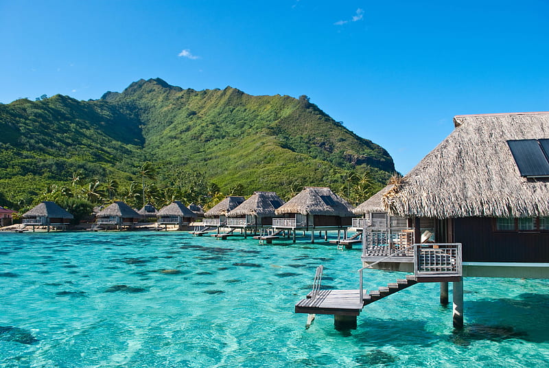 Luxury Water Villas Bungalows over perfect blue lagoon ocean on Polynesian Paradise Island Moorea, moorea, polynesia, resort, reef, french, bungalow, atoll, lagoon, bungalows, aqua, luxury, huts, rooms, islands, desert, pacific, coral, south, water, society, paradise, seas, southseas, perfect, villa, bora bora, polynesian, blue, hotel, exotic, clear, lush, suite, waters, alone, spa, island, tropical, tahiti, villas, HD wallpaper