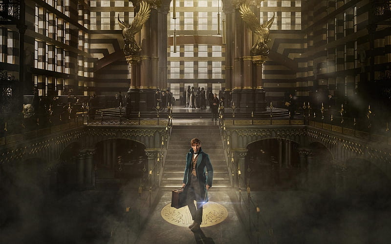 fantastic beasts and where to find them, building, man, window, hall, HD wallpaper