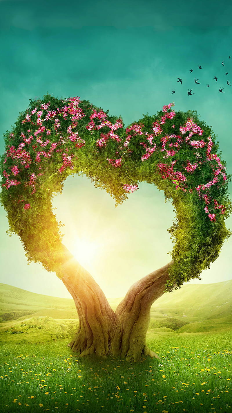 love tree, bird, field, flower, light, nature, forma, sun, HD phone wallpaper