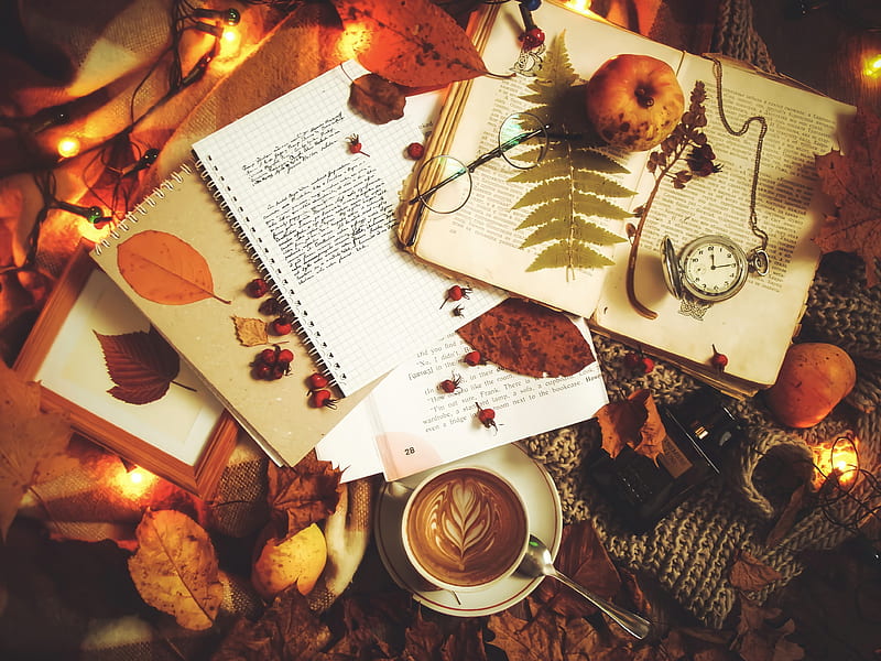 coffee, notebook, autumn, text, inscription, HD wallpaper