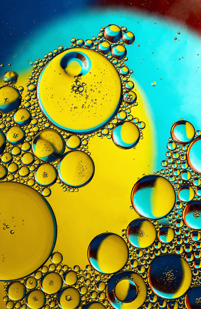 bubbles, liquid, oil, transparent, macro, HD phone wallpaper