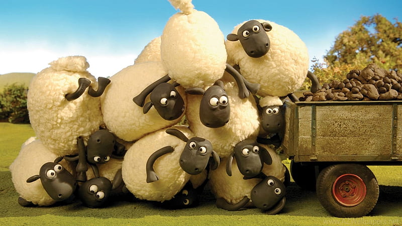 Shaun the Sheep family comedy animation, Animation, 3D, Family comedy, Abstract, Shaun the Sheep, HD wallpaper