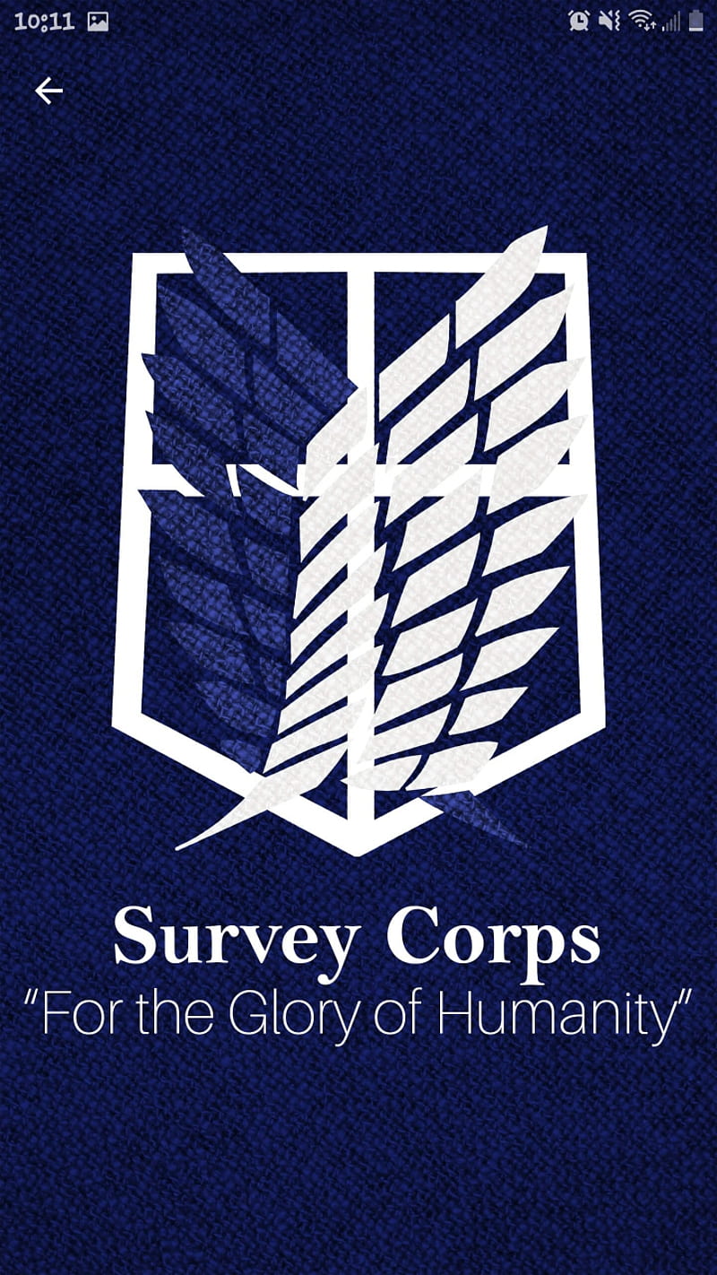 Survey corps, anime, attack on titans, HD phone wallpaper