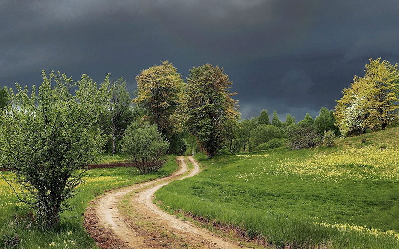 Before Spring Rain, storm, trees, road, Latvia, spring, meadow, HD wallpaper
