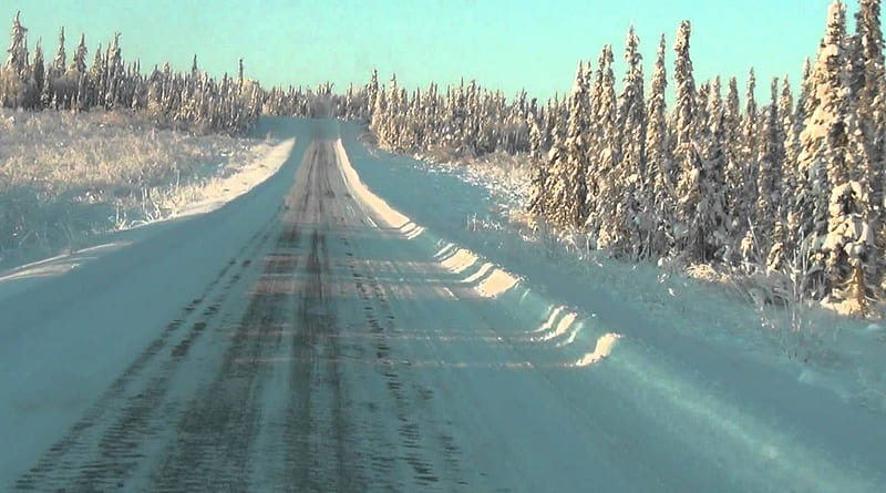 Alaska Highway, sunshine, trees, snow, firs, HD wallpaper