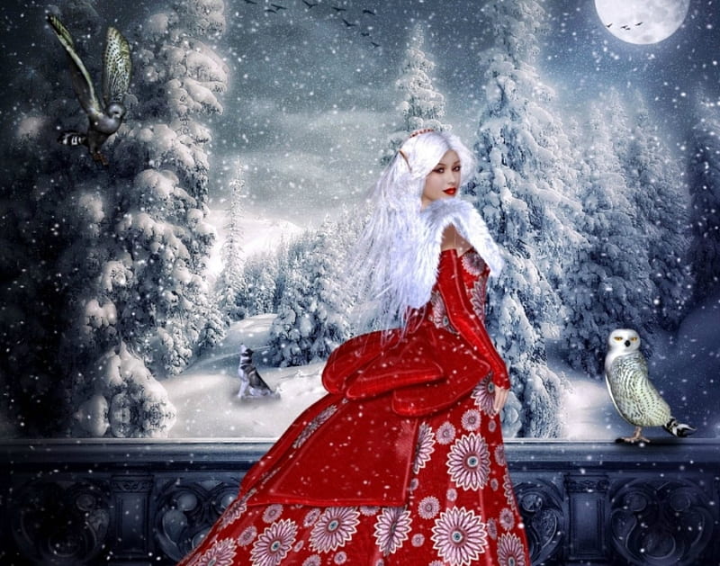 Elven snow queen, owl, snow, elf, winter, HD wallpaper